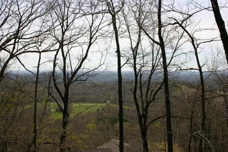 1425 Oglethorpe Mountain Trail