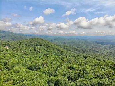 3023 Wild Turkey Bluff