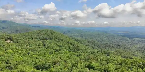 3023 Wild Turkey Bluff