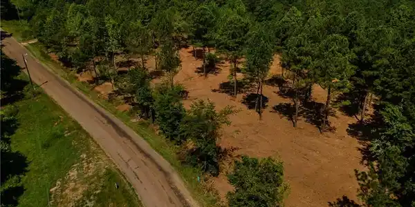 Lot 4 Young Loop