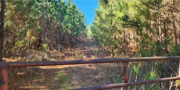 Jaudon Road