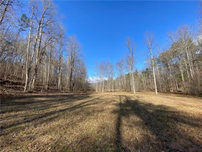 11.88 Acres Sheep Wallow Road