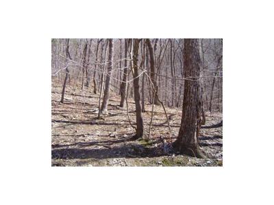 1544 Moss Patch Trail
