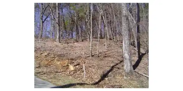 1546 Moss Patch Trail