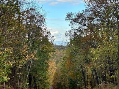Lot #85 Outback Rd