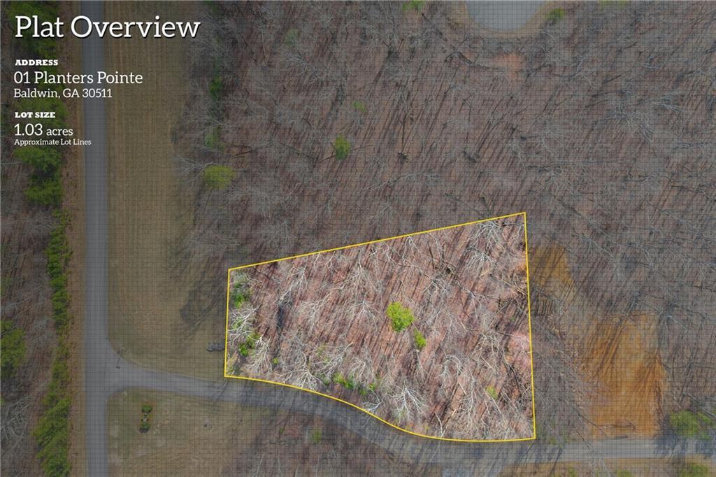 Image 4 Image 4