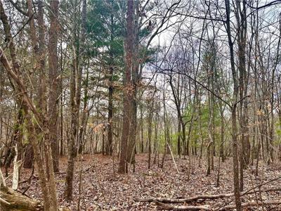 780 Nettle Lane
