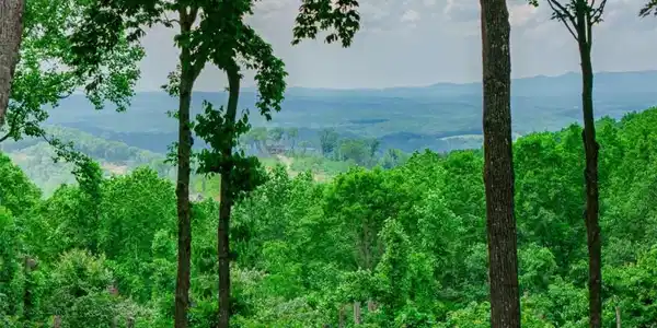 LT 411 Calloway Mountain Road