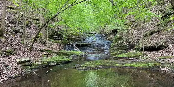 Paris Mountain Road