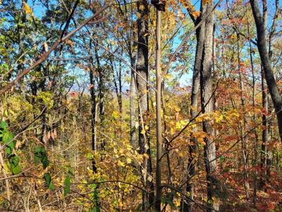 8 AC Old Burnt Mountain