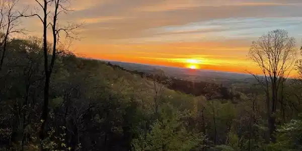 Lot 11 Firetower Road