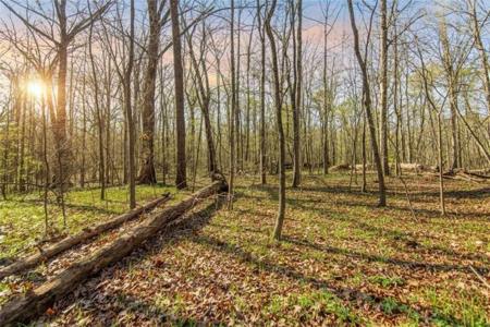 6 ACRE Flat Creek Road