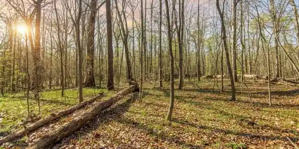 6 ACRE Flat Creek Road