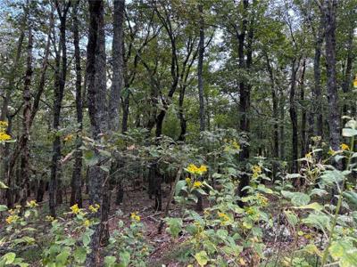 Lot 290 Little Hendricks Mountain