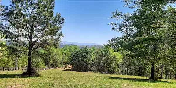 1251 Bar T Ranch Road