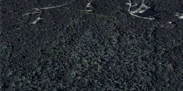 Willow Springs Road