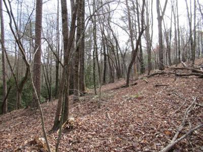 Lot 3 Long Branch Road