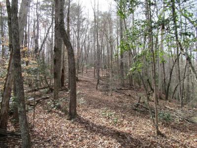 Lot 4 Long Branch Road