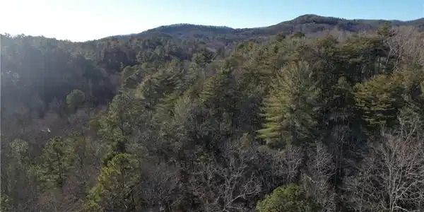 Lot 75 Old Miller Rock Road