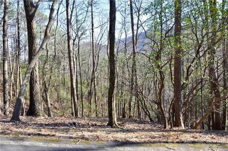 6174 Lady Slipper Lane