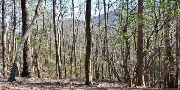 6174 Lady Slipper Lane
