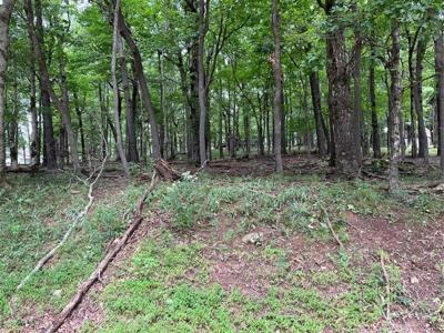 1918 Big Stump Mountain Trail
