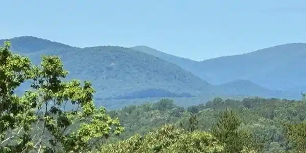 45 Overlook Cove