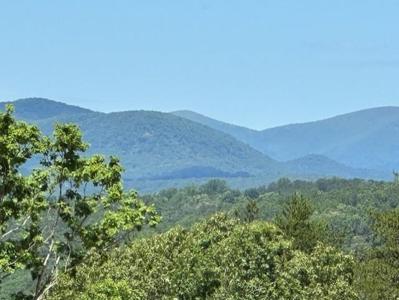 55 Overlook Cove