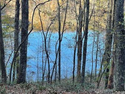 LOT242 S Laceola Road