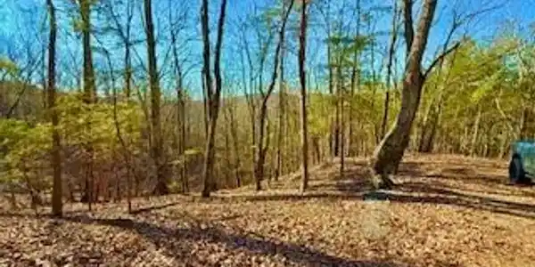 Lot 2 Long Branch Road