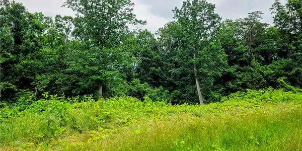TBD Cowart Mountain Tract 2 Road
