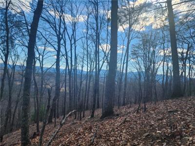 Lot 1 Trackrock Gap Road