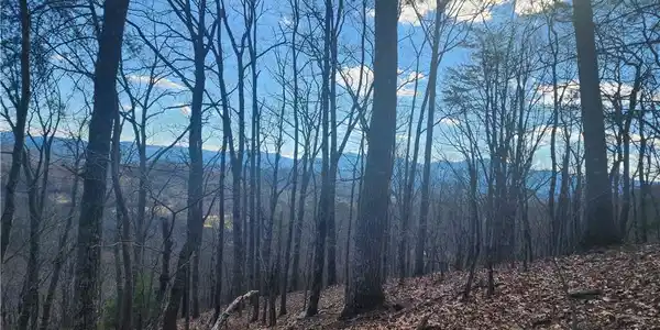 Lot 1 Trackrock Gap Road