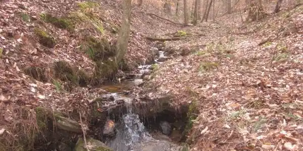 Lot 1,2&3 Jones Mountain Road
