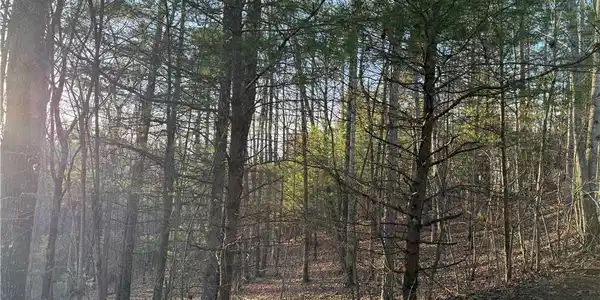 3404 Wildcat Trail