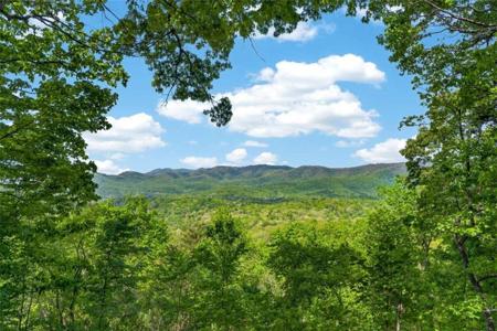 532 Cohutta Mountain Road