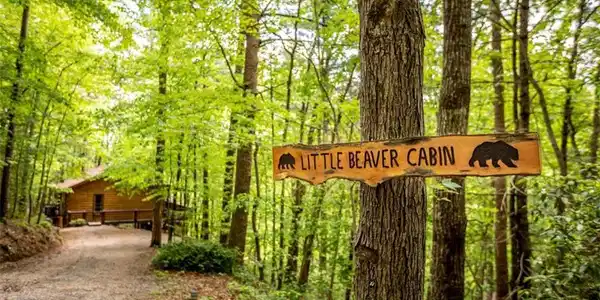 137 Little Beaver Drive