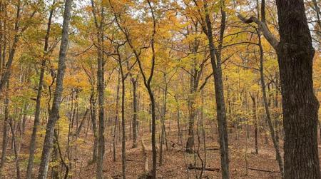 Lot 183.91 Super Deluxe Road