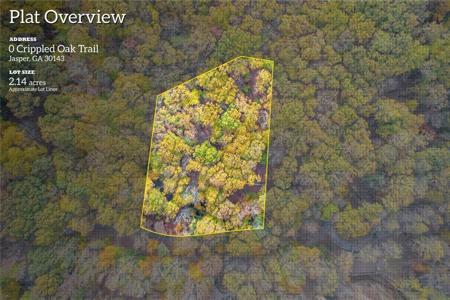 Crippled Oak Trail