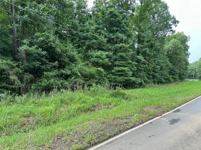 Lot 20 Road Flowery Branch