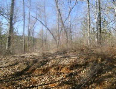 99 Old Post Trail