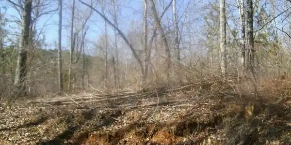99 Old Post Trail