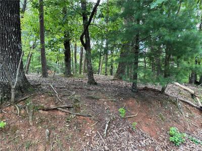 Lot 2534 Tamarack Drive