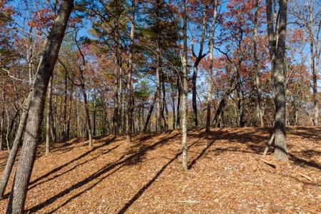 Lot 39 Preserve Trail