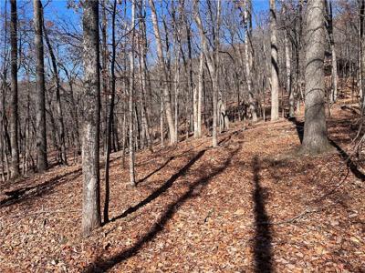1538 Moss Patch Trail