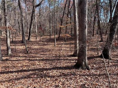 1379 Laurel Mill Trail