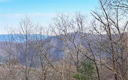 LOT2 Summit Pass
