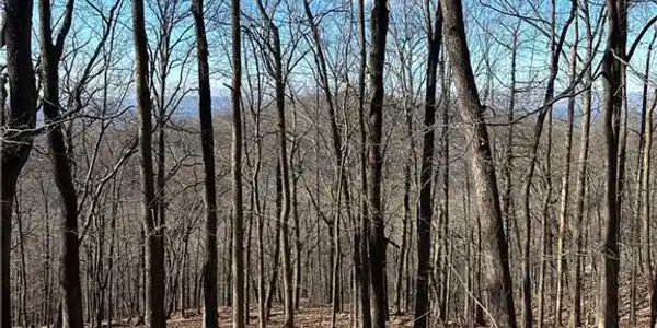Lot671 Valley View Trail