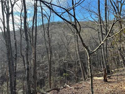 Lt1141 Oglethorpe Mountain Road