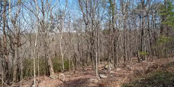 Mulberry Circle